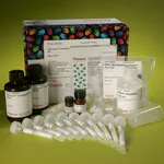 Thermo Fisher Scientific GlycoLink Immobilization Kit