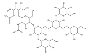 Merck MAN-5 GLYCAN, >=90% (HPLC)