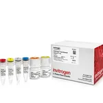 Thermo Fisher Scientific SYBR Green Fast Advanced Cells-to-CT Kit, 40 reactions