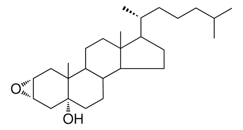 Merck 2-ALPHA,3-ALPHA-EPOXY-5-ALPHA- - 1 MG&