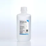 BANDIO Transfer Buffer, 10X