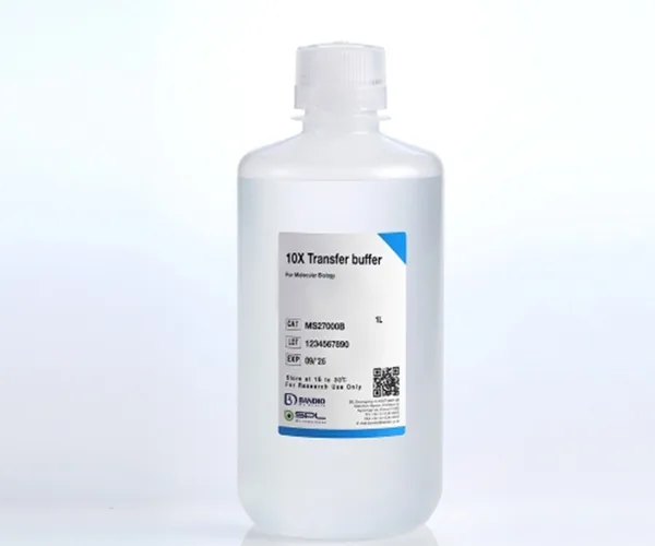 BANDIO Transfer Buffer, 10X