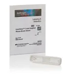 Thermo Fisher Scientific CytoVista Sagittal Mouse Brain Slicer, 1 mm