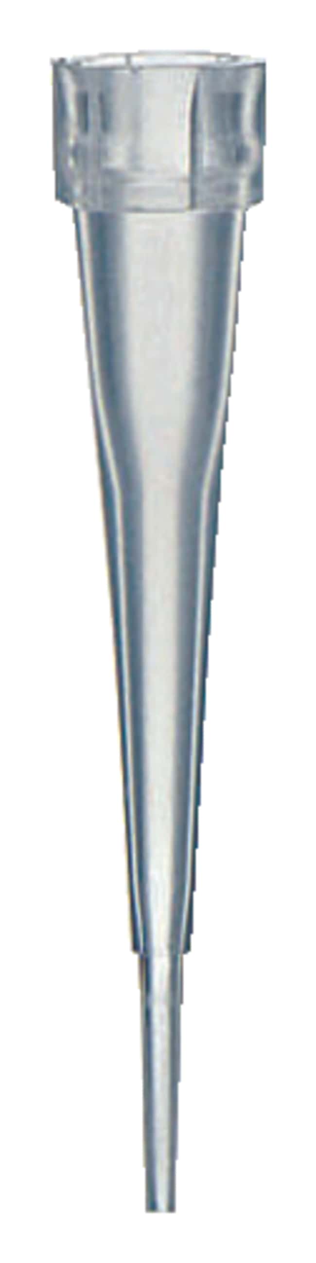 Thermo Fisher Scientific SureOne Ultra Micro Point Reach Pipette Tip, Non-sterile