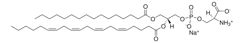 Merck 16:0-20:4 PS