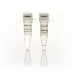 Thermo Fisher Scientific DNA Polymerase I (10 U/μL), 500 units