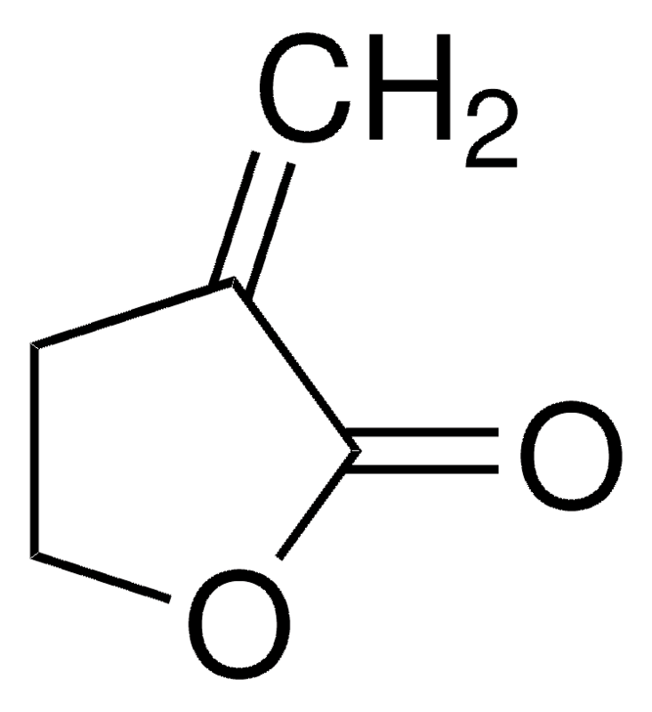 Merck alpha-Methylene-gamma-butyrolactone