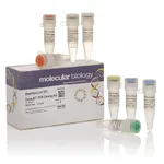 Thermo Fisher Scientific CloneJET PCR Cloning Kit, 20 Reactions