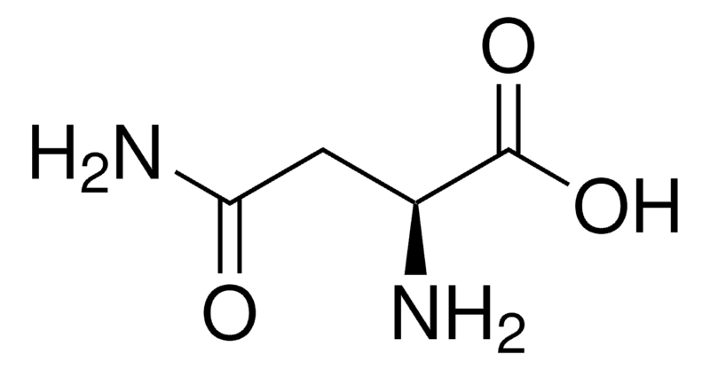 Merck L-Asparagine