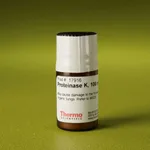 Thermo Fisher Scientific Proteinase K Powder (≥30 U/mg)