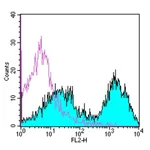 Thermo Fisher Scientific MHC Class II (I-A/I-E) Monoclonal Antibody (M5/114.15.2), Biotin, eBioscience