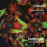 Thermo Fisher Scientific Celleste Image Analysis Software Upgrade, single-user license