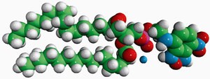 Merck 16:0 NBD PE