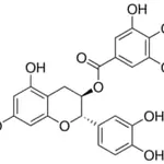 Merck (-)-CATECHIN 3-GALLATE