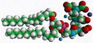 Merck 16:0 PE-DTPA (GD)