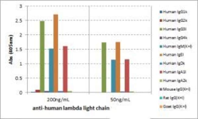 Thermo Fisher Scientific Rabbit anti-Human Lambda Light Chain Recombinant Secondary Antibody, Biotin
