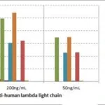 Thermo Fisher Scientific Rabbit anti-Human Lambda Light Chain Recombinant Secondary Antibody, Biotin