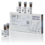 Thermo Fisher Scientific FxCycle Violet Stain