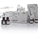 Thermo Fisher Scientific Total Exosome RNA & Protein Isolation Kit
