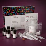 Thermo Fisher Scientific CarboxyLink Immobilization Kit, 2 mL