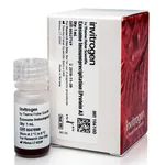 Thermo Fisher Scientific Exosome Immunoprecipitation Reagent (Protein A)