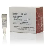 Thermo Fisher Scientific Oligo(dT)12-18 Primer