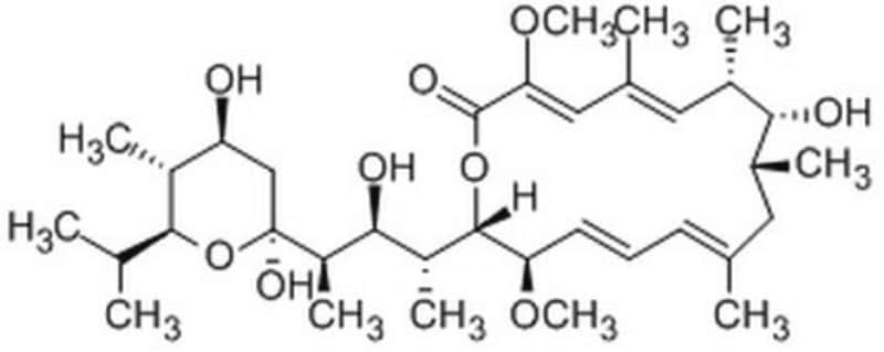 Merck InSolution Bafilomycin A1, > 1PCX15UG