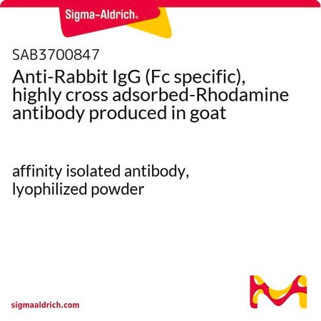 Merck Anti-Rabbit IgG (Fc specific), highly cross adsorbed-Rhodamine antibody produced in goat
