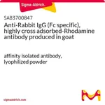 Merck Anti-Rabbit IgG (Fc specific), highly cross adsorbed-Rhodamine antibody produced in goat