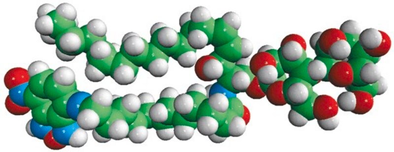 Merck C12-NBD Lactosyl Ceramide