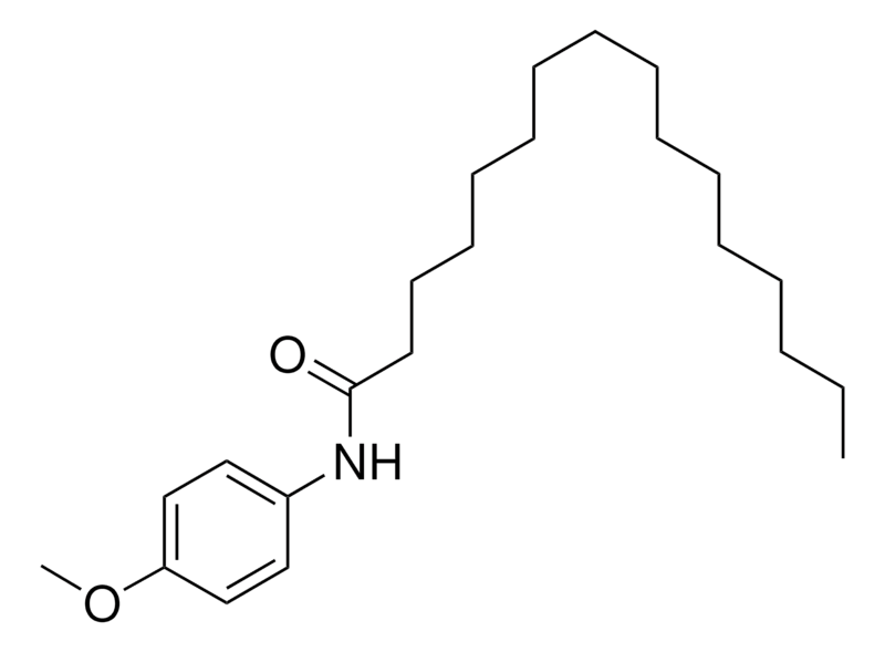 Merck HEXADECA-P-ANISIDIDE-
