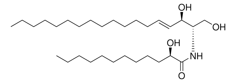 Merck 12:0(2R-OH) Ceramide