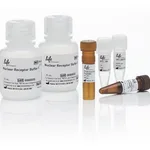 Thermo Fisher Scientific LanthaScreen TR-FRET Glucocorticoid Receptor Coactivator Assay Kit