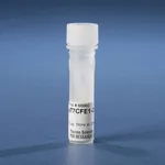 Thermo Fisher Scientific pT7CFE1-CHis Vector for Mammalian Cell-Free Protein Expression