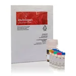 Thermo Fisher Scientific Amplex Red Glucose/Glucose Oxidase Assay Kit