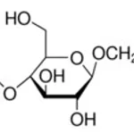 Merck N-DODECYL B-D-MALTOSIDE BIOXTR&