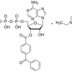 Merck 2``(3``)-O-(4-BENZOYLBENZOYL)ADENOSINE&