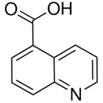 Merck 5-QUINOLINECARBOXYLIC ACID-