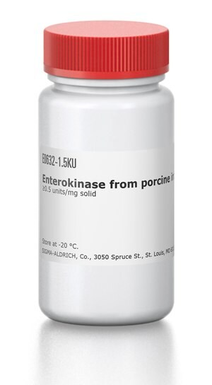 Merck ENTEROKINASE FROM PORCINE INTESTINE
