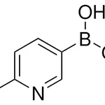 Merck 6-Bromo-3-pyridinylboronic acid