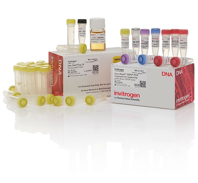 Thermo Fisher Scientific Zero Blunt TOPO PCR Cloning Kit for Sequencing, with One Shot TOP10 Electrocomp E. coli, 25 Reactions