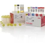 Thermo Fisher Scientific Zero Blunt TOPO PCR Cloning Kit for Sequencing, with One Shot TOP10 Electrocomp E. coli, 25 Reactions