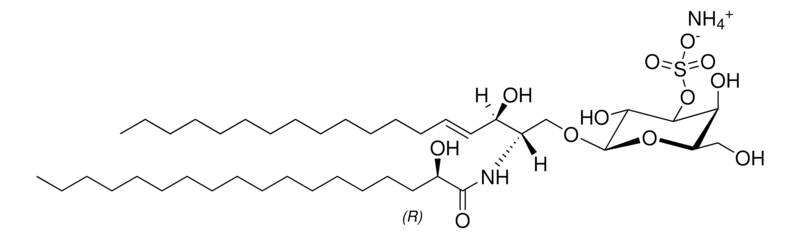 Merck 18:0(2R-OH) Sulfo GalCer