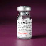Thermo Fisher Scientific Imject Maleimide-Activated BSA, 10 mg