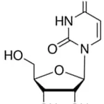 Merck URIDINE BIOREAGENT, SUITABLE FOR CELL&