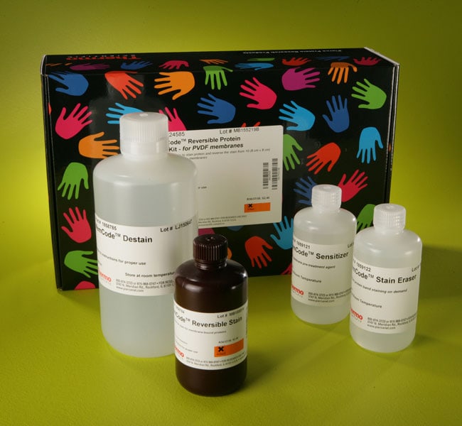 Thermo Fisher Scientific Pierce Reversible Protein Stain Kit for PVDF Membranes
