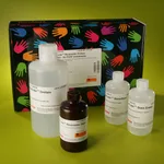 Thermo Fisher Scientific Pierce Reversible Protein Stain Kit for PVDF Membranes