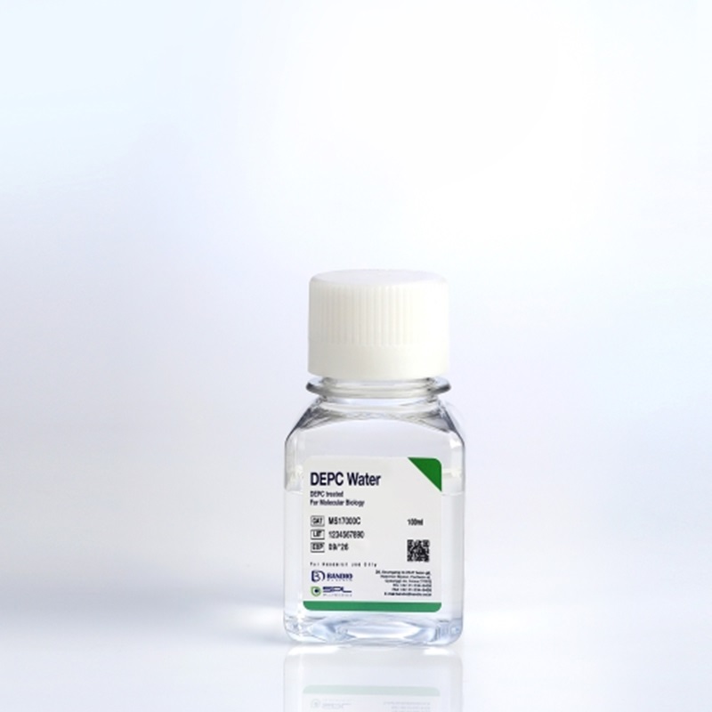 BANDIO    RNase free Water (DEPC treated Water)