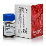 Thermo Fisher Scientific Dynabeads Mouse T-Activator CD3/CD28 for T-Cell Expansion and Activation, 2 mL