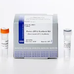 Intron Power cDNA Synthesis Kit